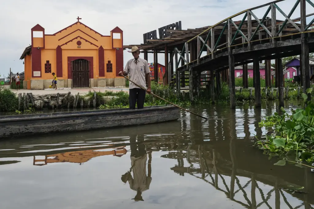 A man navigates near an invasive plant called a water...