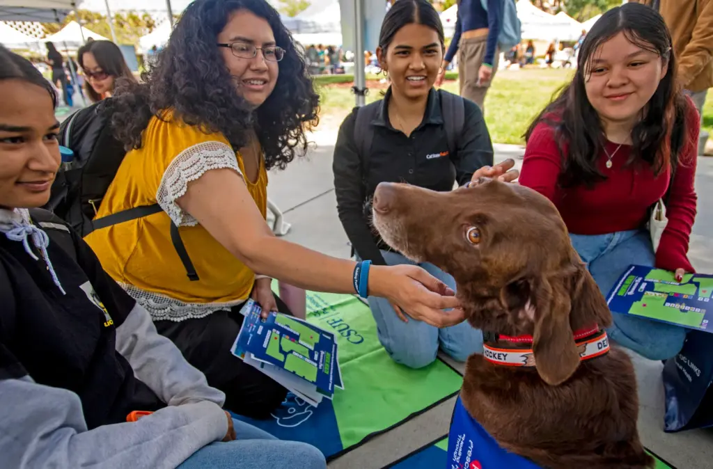 Kirby, one of the therapy dogs is surrounded by admirers...