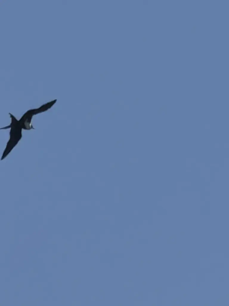 Former State Parks ranger Jim Serpa snapped a photo of...