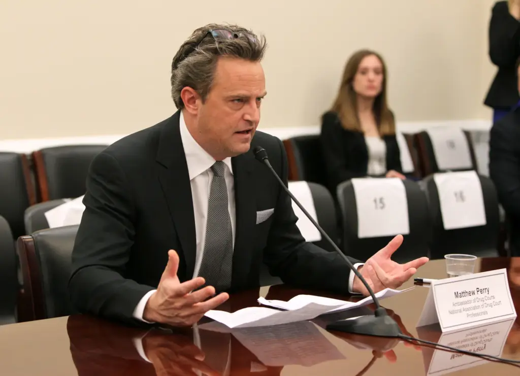 National Association of Drug Court Professionals ÂAll Rise Ambassador Â...