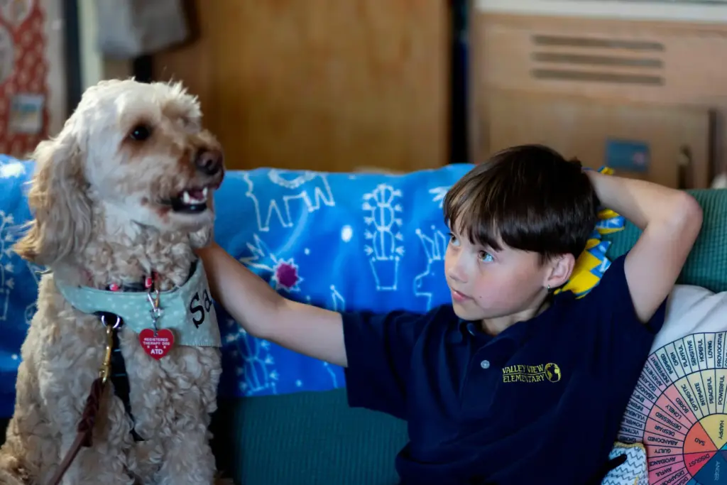 Fifth grader Miles pets Sage, a therapy dog, in the...