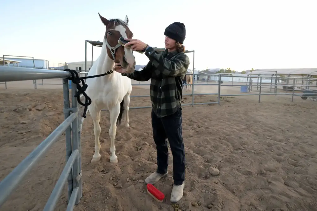 âRancherâ Sid Journey, 30, of Temecula, grooms a horse at...