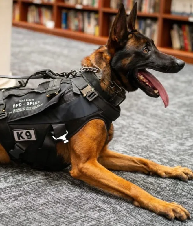 Burbank police K-9 Spike was killed on Saturday evening, Nov....