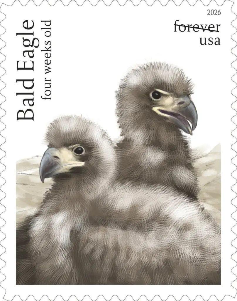 This image provided by the United States Postal Service shows...