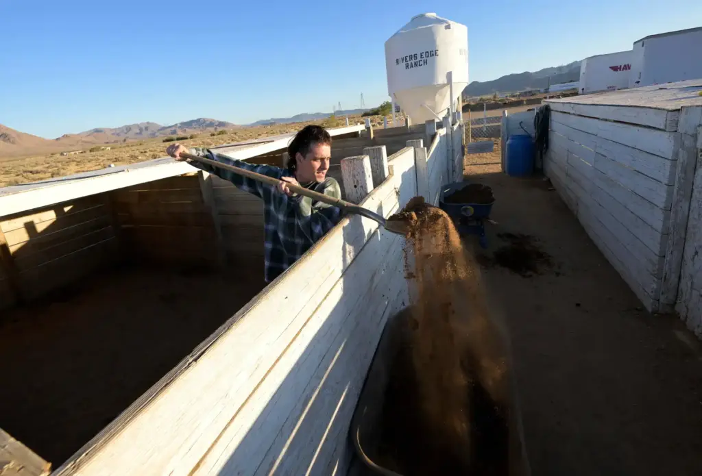 âRancherâ Nicholas Sherrill, 28, of Phoenix, cleans a pig stall...