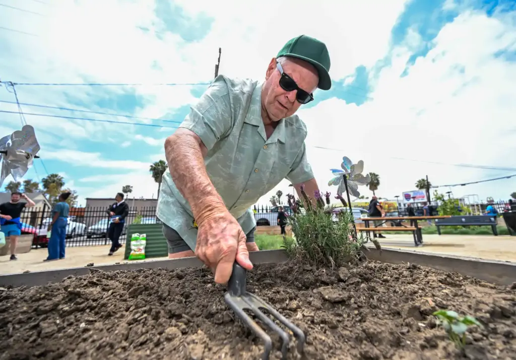 Lance Williams of Westminster uses a claw tool to aerate...