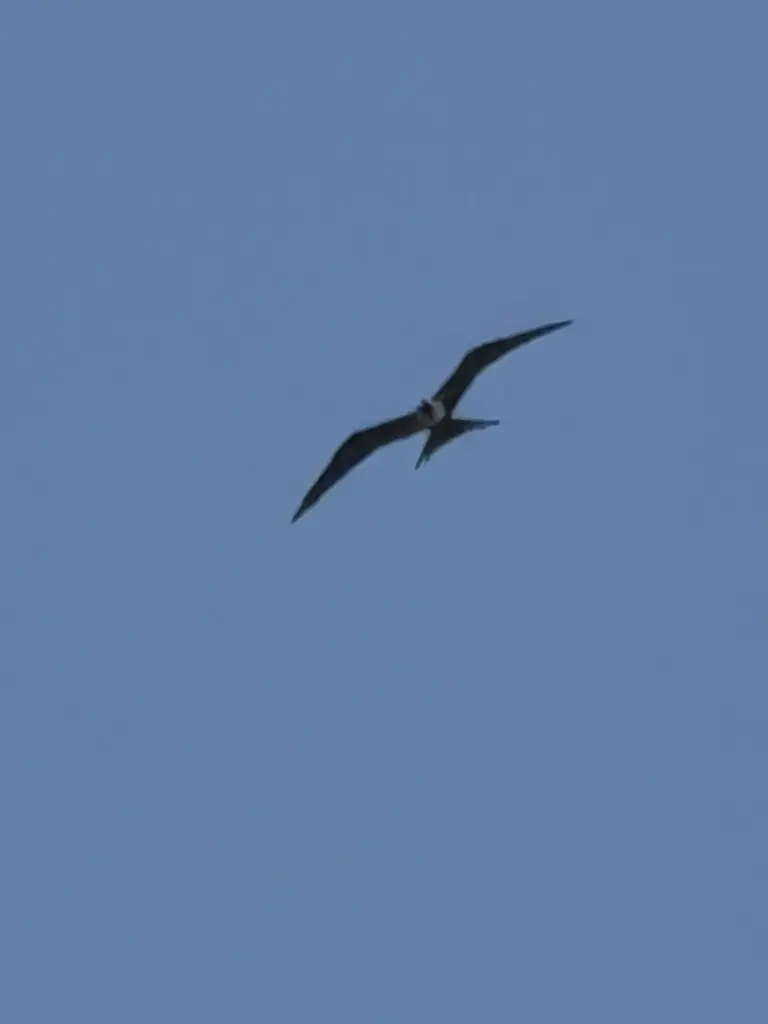Former State Parks ranger Jim Serpa snapped a photo of...