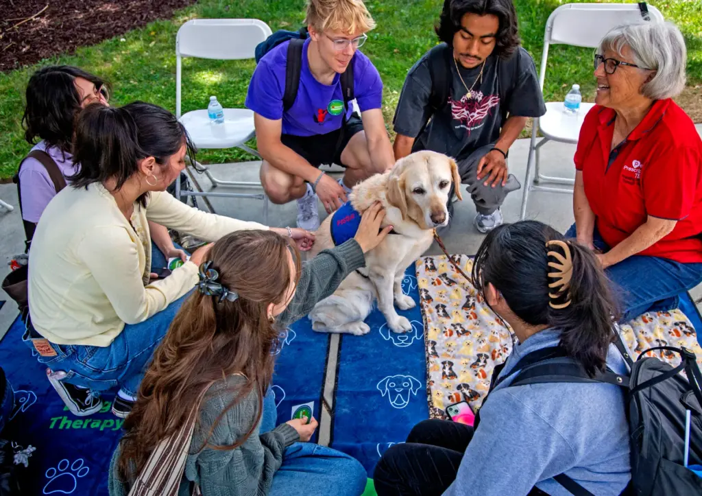 One of the therapy dogs had a circle of students...