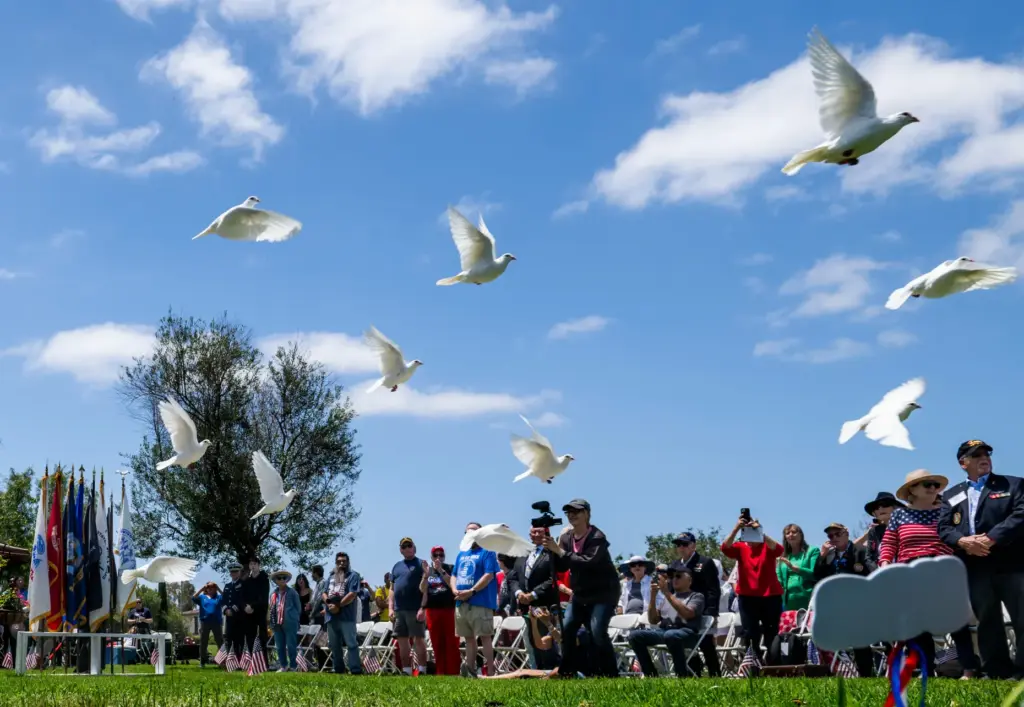 Doves are released during the Memorial Day ceremony at Harbor...