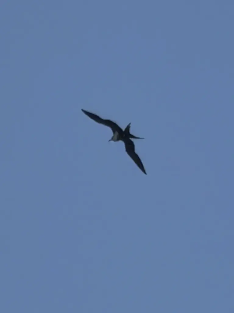 Former State Parks ranger Jim Serpa snapped a photo of...