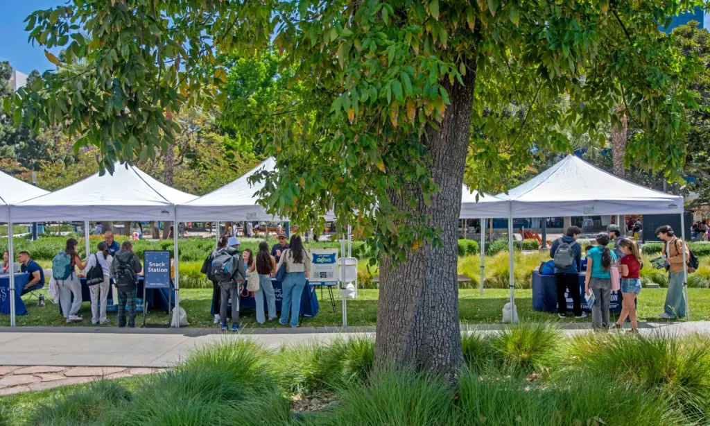 Cal State University at Fullertonâs Counseling and Psychological Services’ annual...