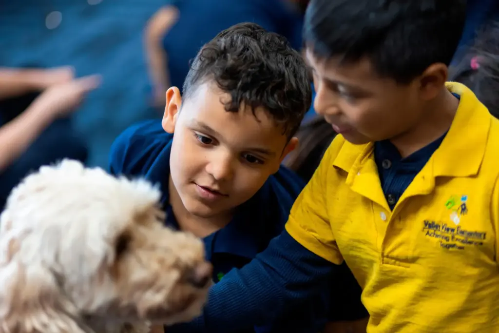 Kaleb, center, pets Sage, a therapy dog, at Valley View...
