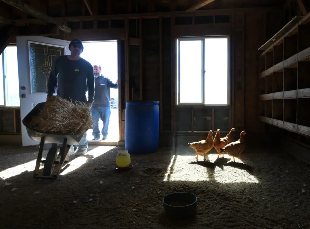 âRancherâ John Fisk, 44, of Ontario, wheels hay into a...