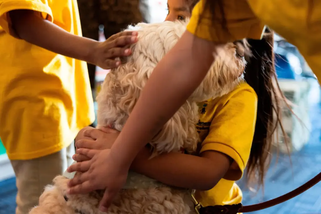 Students embrace Sage, a therapy dog, at Valley View Elementary...