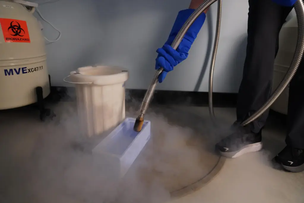 Sarah Atkinson fills a container with liquid nitrogen while preparing for an embryo transfer.