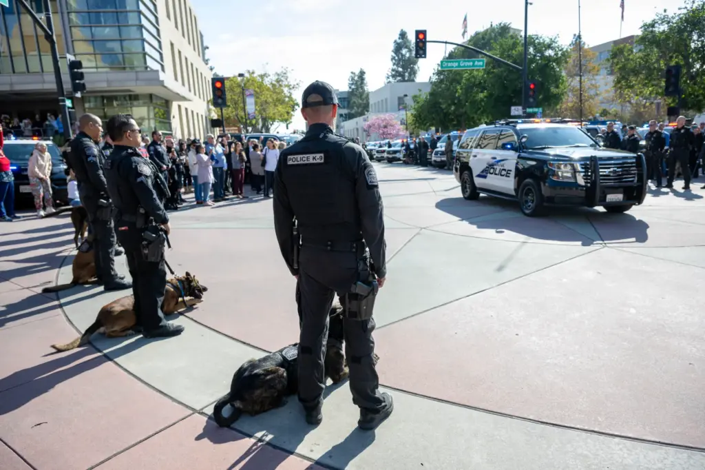 Law enforcement officers and their K-9 partners line the street...