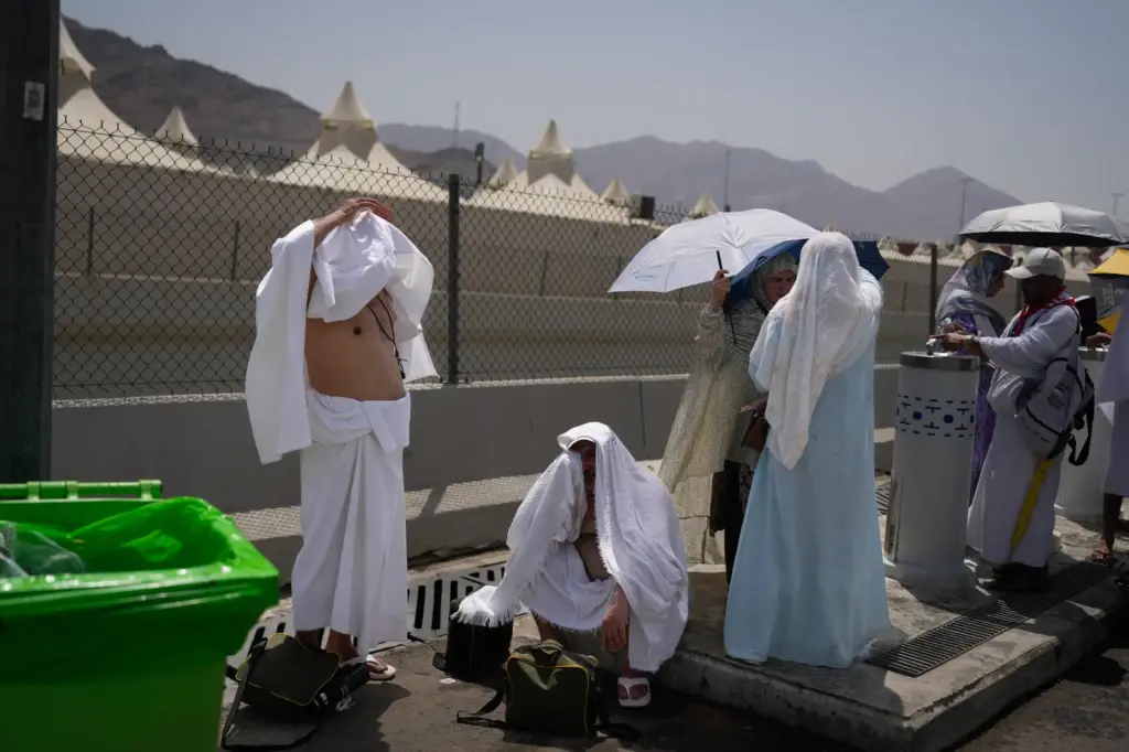 Muslim pilgrims cover their heads to avoid sunlight as they...