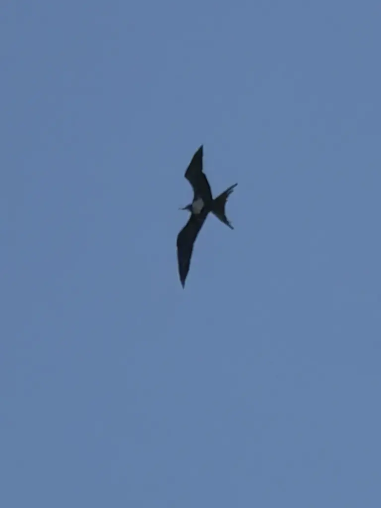 Former State Parks ranger Jim Serpa snapped a photo of...