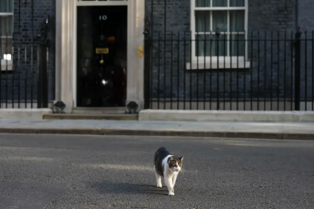 Larry the cat, chief mouser to the Cabinet Office leaves 10 Downing Street.