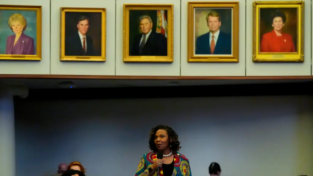 Sen. Bracy Davis speaks during debate on SB 8-D, a redistricting bill.