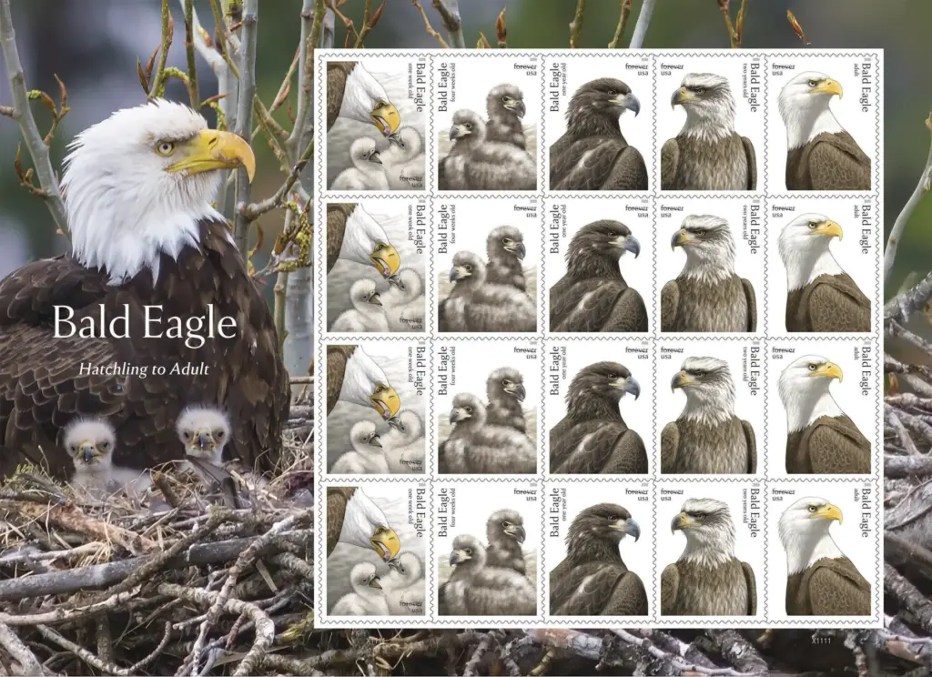 This image provided by the United States Postal Service shows...