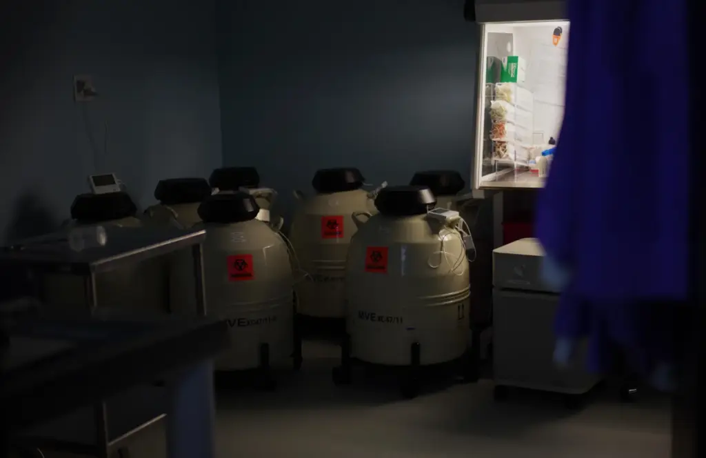 Tanks containing frozen eggs and embryos preserved in liquid nitrogen.