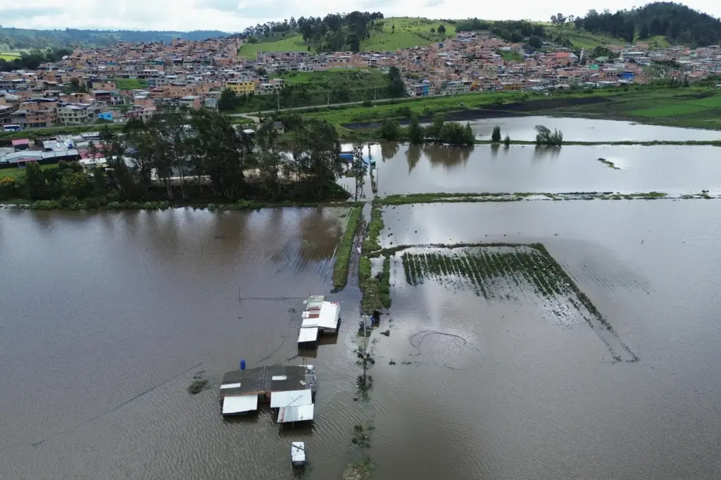 A strawberry farm is flooded after the Botello River overflowed due to heavy rain
