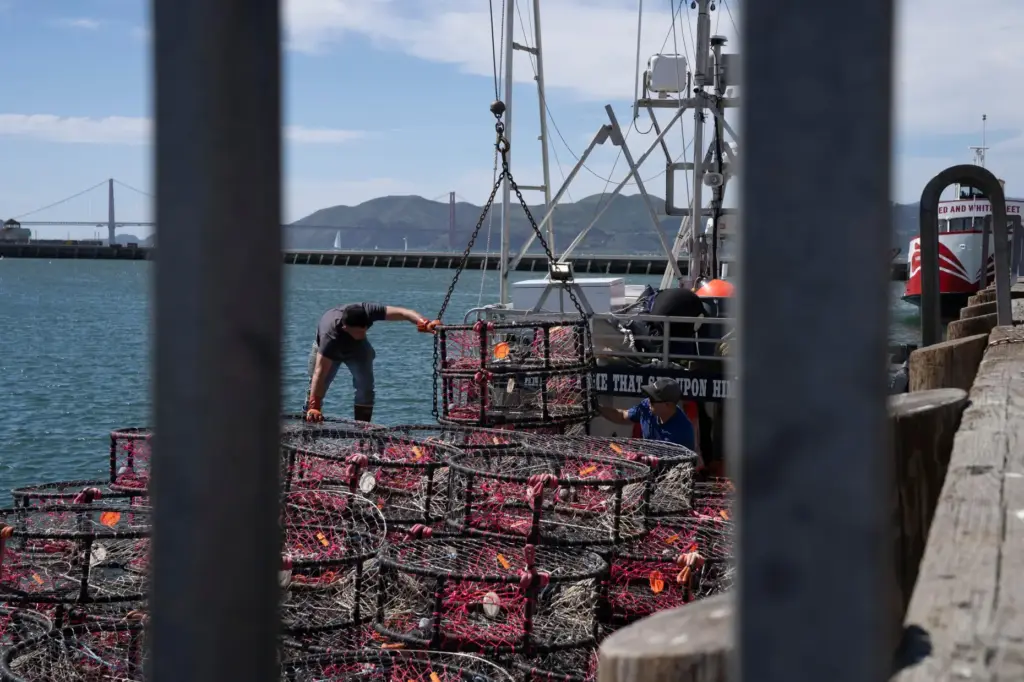 FILE – Hunter Nguyen, right, and Jonathan Tin, load crab...