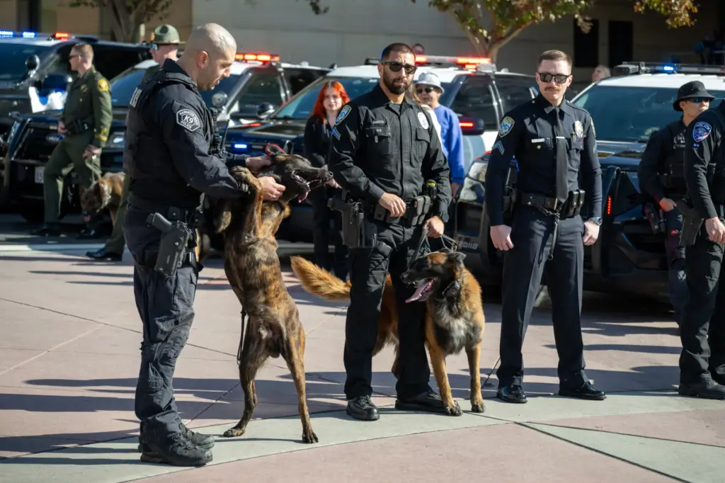 Law enforcement officers and their K-9 partners line the street...