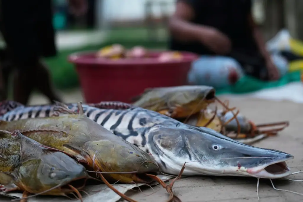 FILE – A woman sells fresh fish in Puerto Narino,...