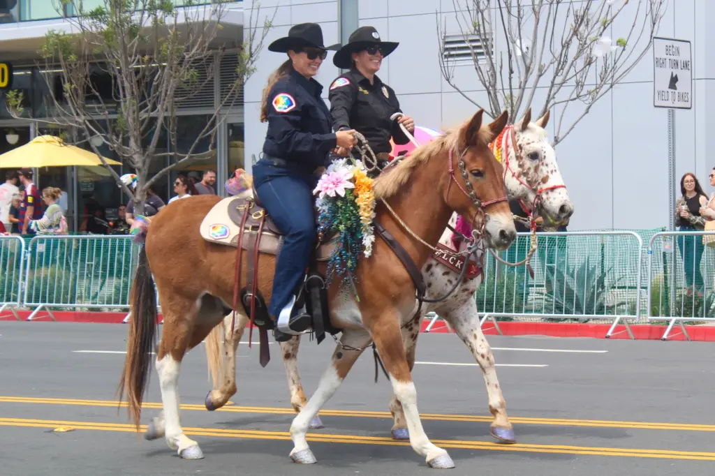 The 43rd annual Long Beach Pride Parade on Sunday, May...