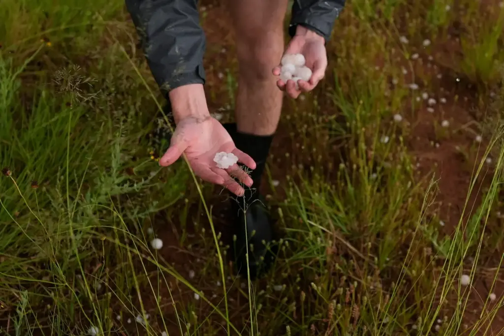 Tony Illenden picks up hail