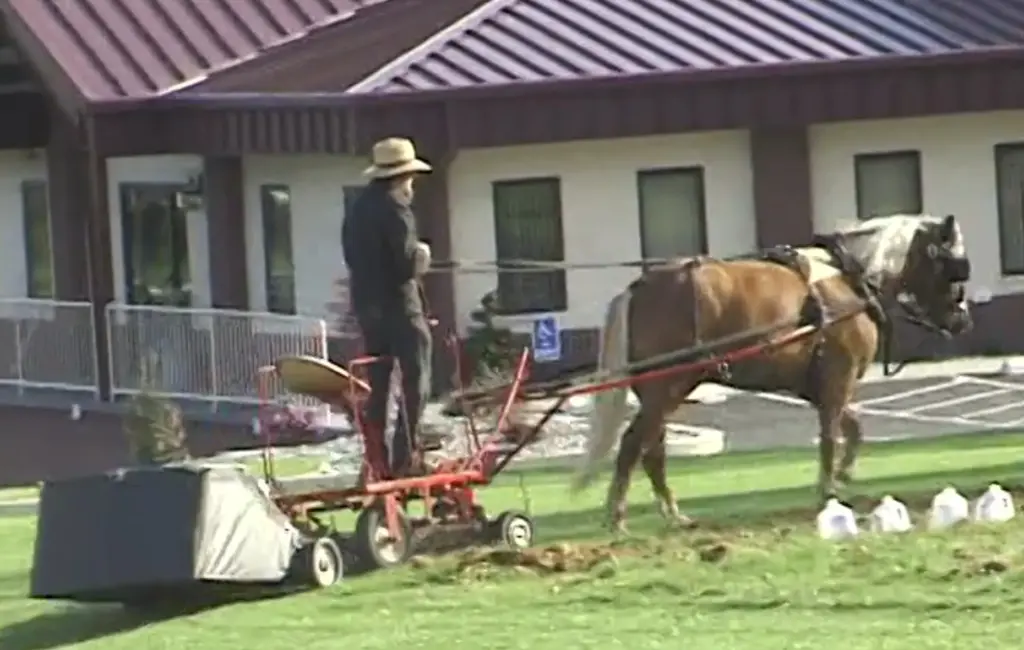 An Amish man rides a horse-drawn lawn mower in the...
