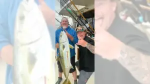 Massive yellowtail caught close to shore generates buzz on the water
