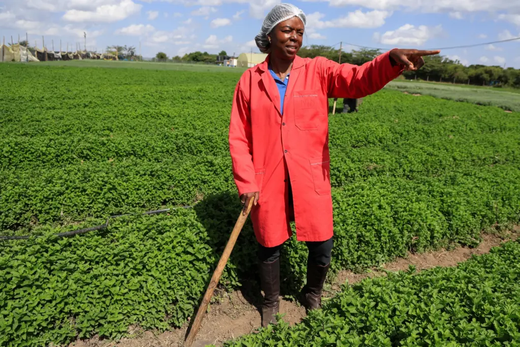 Citadel Agri Merchants Managing Director Yvonne Anyonyi Mumiah gestures during...