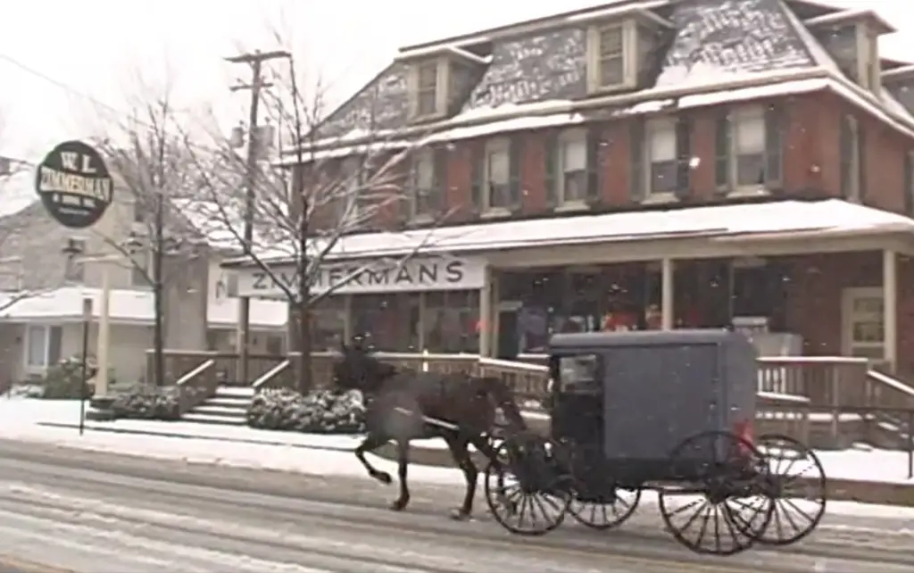 A horse-drawn buggy drives past a grocery store in the...