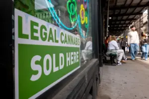 High-potency cannabis fuels state debates over psychosis and addiction risks
