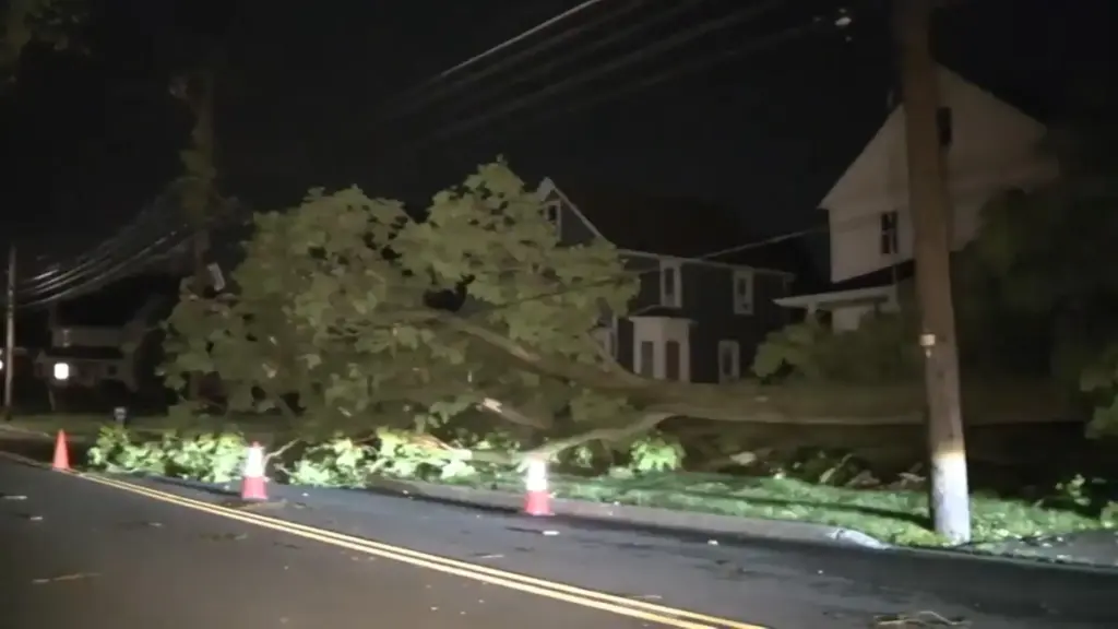 A downed tree after storms struck Amherst, Ohio.