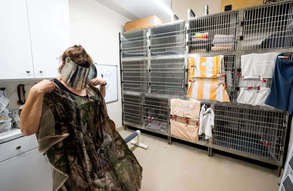 Orange County Bird of Prey Center Director of Administration Joanne...