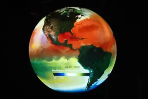With strong El Niño on the horizon, Long Beach aquarium preps for marine impacts