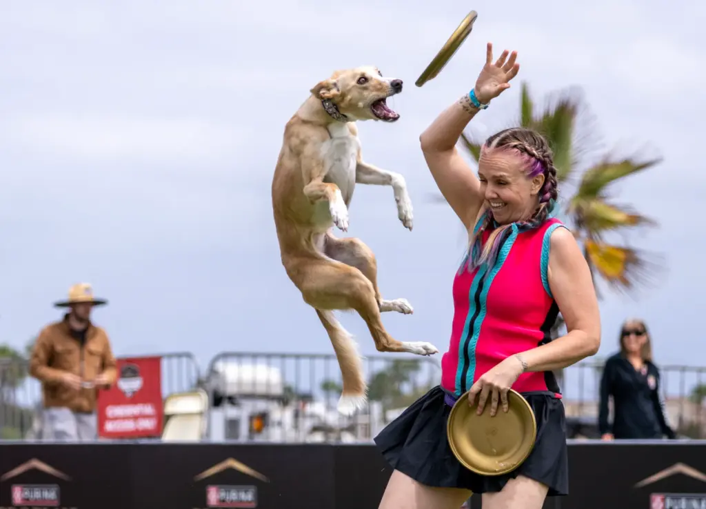 Brittany Jordahl of Denver flips a disk in the air...