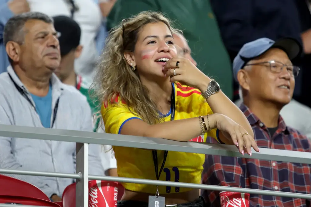 Fans from different nationalities watch a FIFA World Cup match...