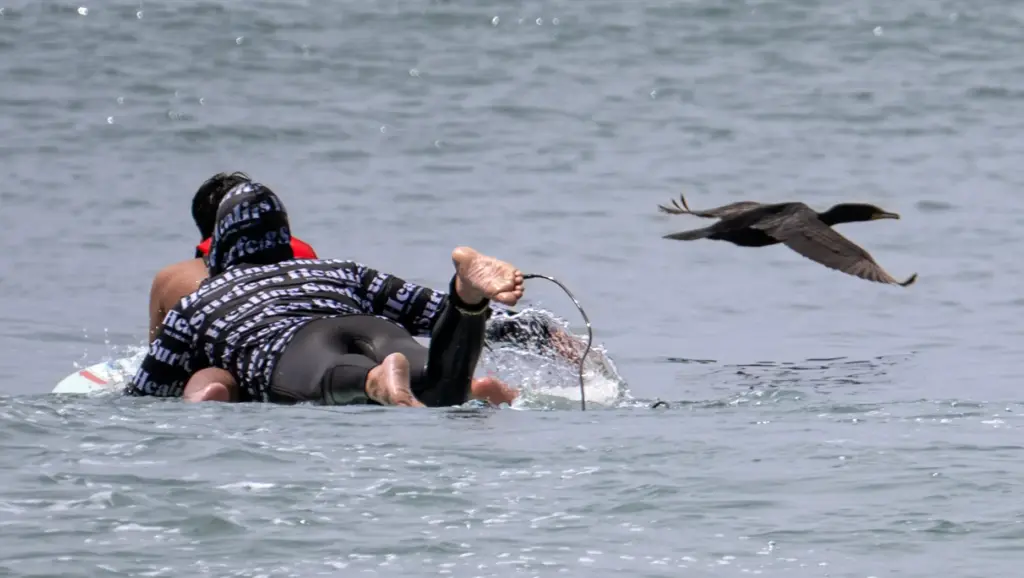 As a bird cruises past, Surfers Healing volunteers give children...