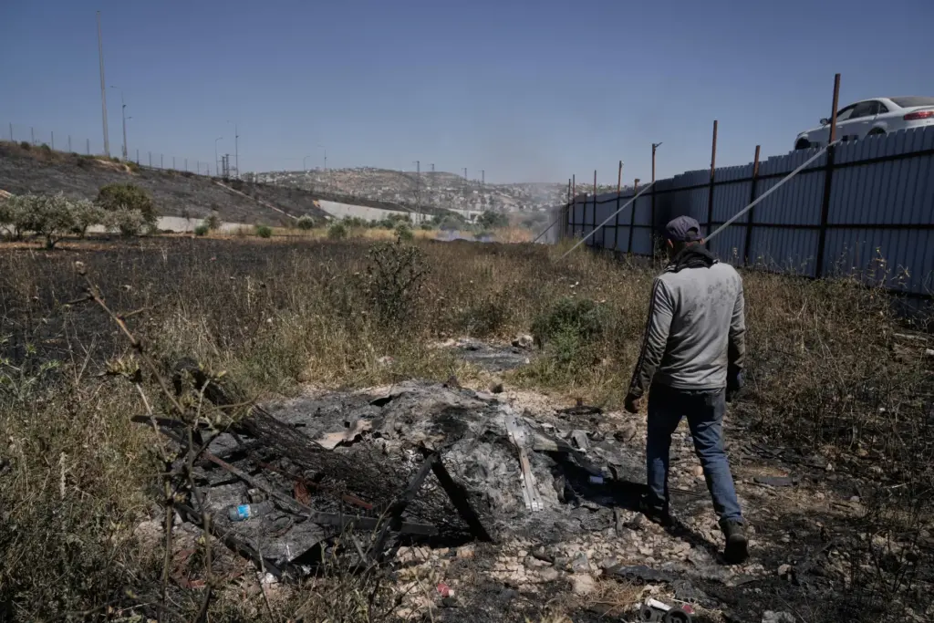 A Palestinian man inspects the site of Israeli settlers attack...