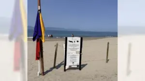 San Clemente surfer recounts rescue attempt for man killed by crocodile in Puerto Vallarta