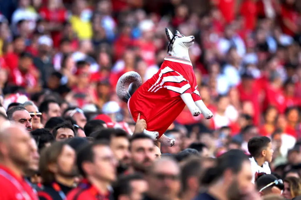 Fans cheer before the start a FIFA World Cup match...