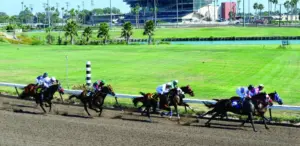 Los Alamitos consensus picks for Saturday, June 20, 2026