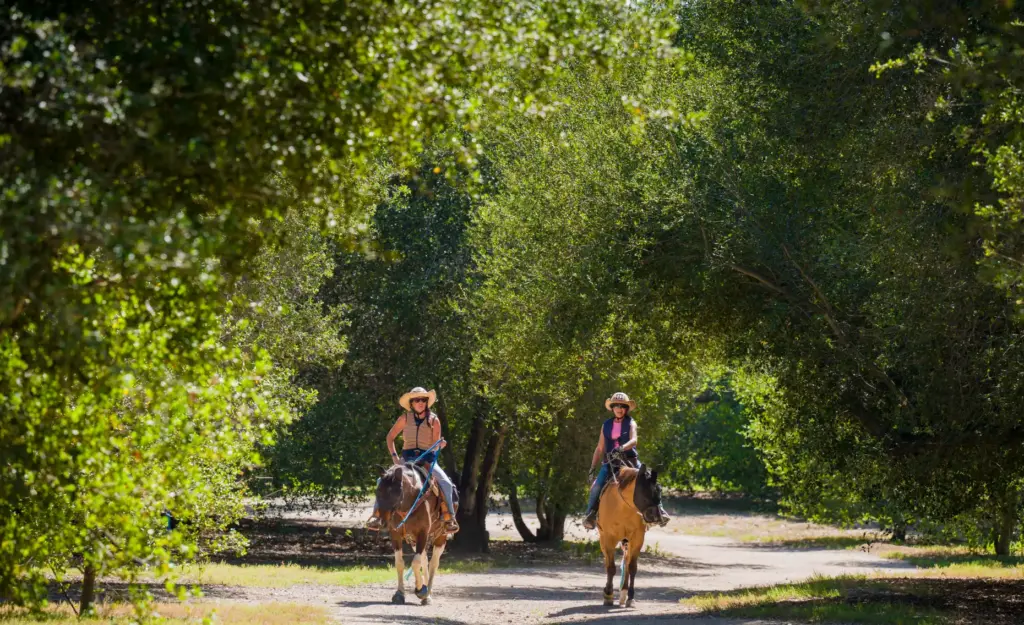 Catherine Holmes, left, of Newport Beach, rides her horse Arya,...