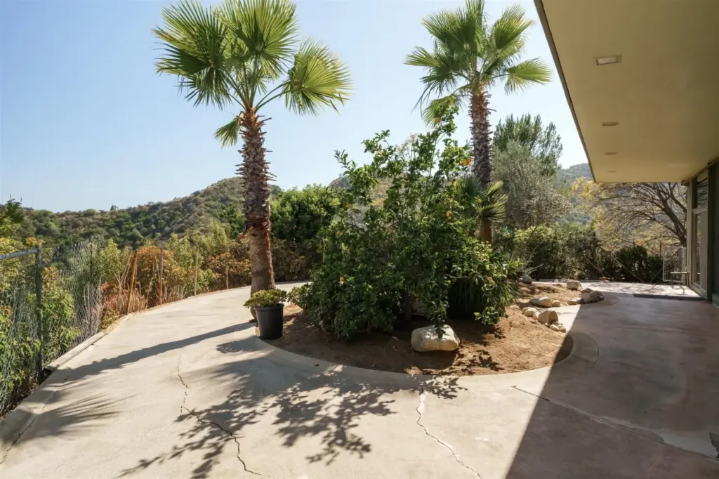 Palm trees grow where the owners filled in a kidney-shaped...