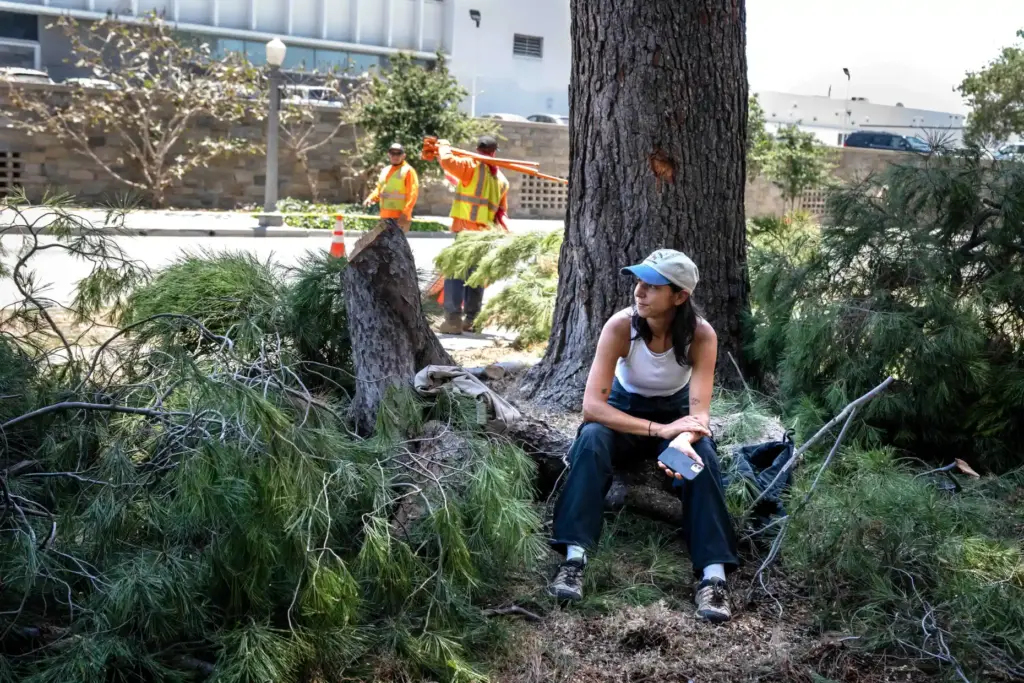 Nina Raj, of the Altadena Seed Library, sits on stumps...